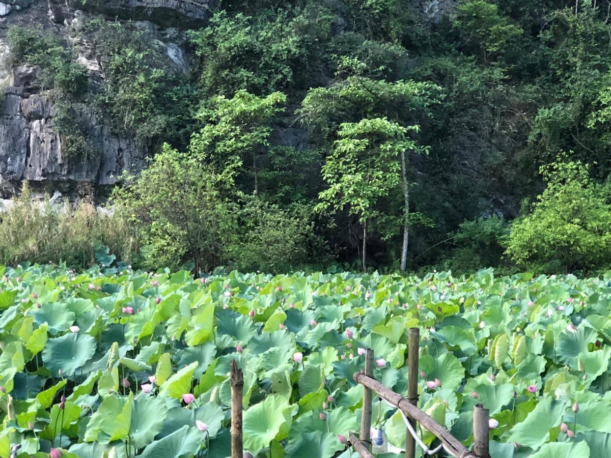 Trang An River View Homestay Ninh Binh Luaran gambar